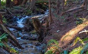 Forest Haven Hideaway